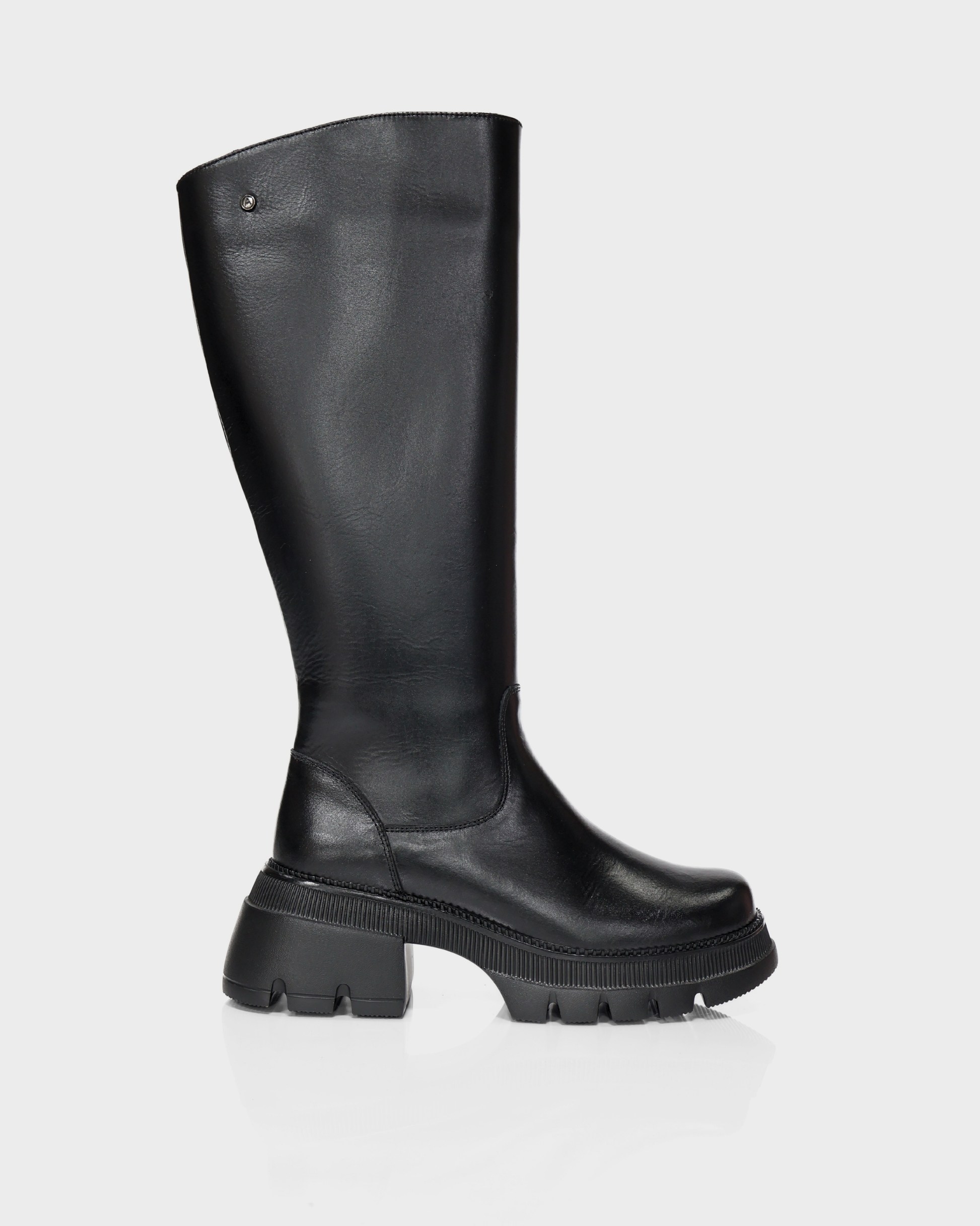 Botas Caña Larga en Cuero Gaby Negro